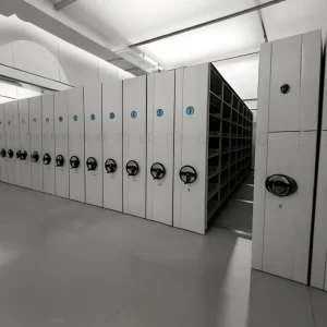 Library Filing System