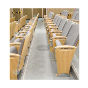 New Style Factory Theater Furniture Aluminum Alloy Theater Seating Auditorium Standing