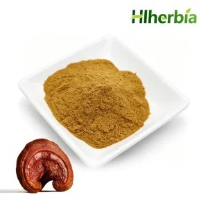 Ganoderma Lucidum Extract Powder
