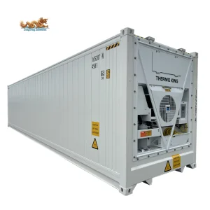Brand NEW 40ft 40RH Refrigerated Reefer Container with Thermo King Freezer