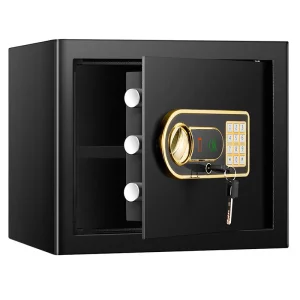 Compact Fingerprint Safe Box for Ultimate Home Security