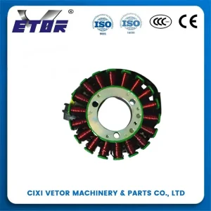 650NK Magneto Coil Brazil fit