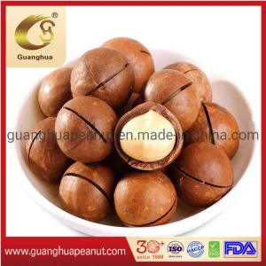 Vendas Quentes de Nozes de Macadâmia Torradas com Sabor