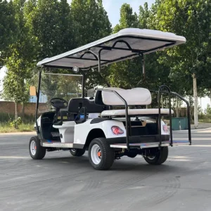 Street Legal 4WD Electric Golf Cart