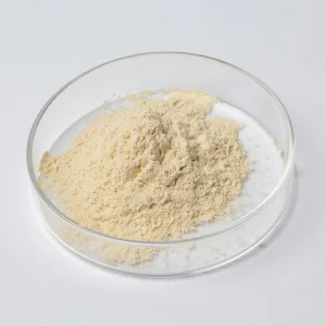 Omega-3 Fish Oil Powder