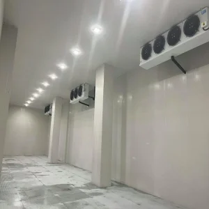 Light Steel Structure Frame Cold Storage with Fast Construction and Quality