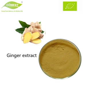 Comext High Quality and Natural Benefits Light Yellow Powder Gingerol Ginger Extract