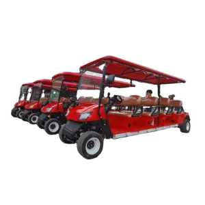 8 person sightseeing