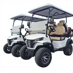 Factory Custom Electric Golf Carts