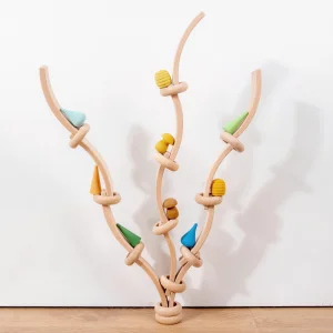 Solid Beech Wood Rainbow Building Blocks