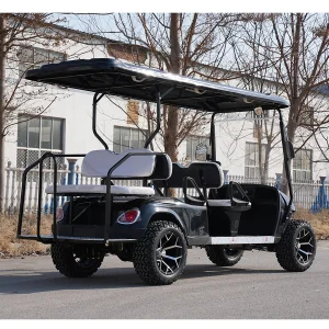 Good Price 6 Seat Electric Golf Cart with 6 Seats and Stable Golf Carts Gas Powered