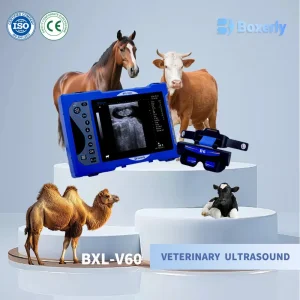 Bxl-V60 Veterinario