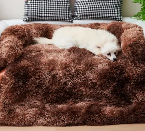Foldable Modern Eco-Friendly Pet Sofa Bed