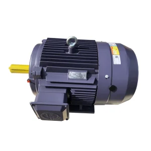 Small Electric Motor
