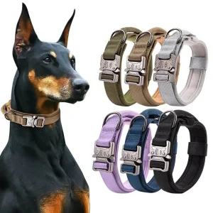 Coleira Tática para Cães com Fivela