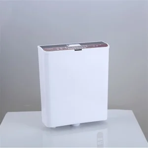 Dual Flush Squatting Cistern