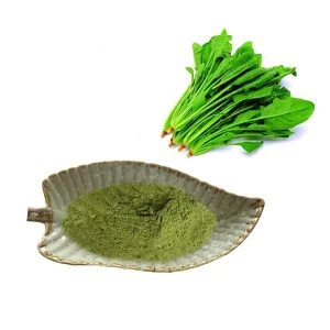 Freeze Dried Spinach Powder
