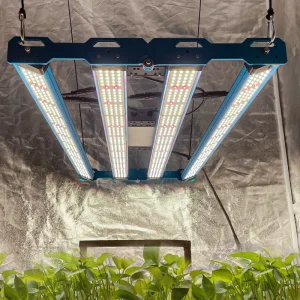 KingBrite Samsung LED