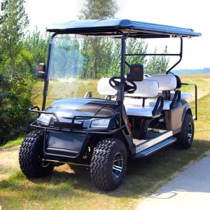 Custom Electric Golf Carts Cheap Prices Under 500 Buggy Car for Sale Chinese Lithium Battery 48 Volt Made Manufacture Golf Cart
