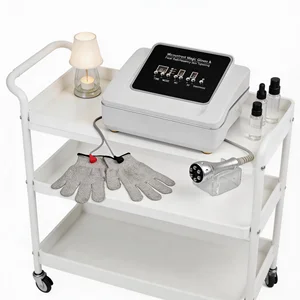 Hot Sale Microcurrent EMS Facial Toning Device Anti Aging Face Neck Lift Massage Glove Skin Rejuvenation Beauty Equipment