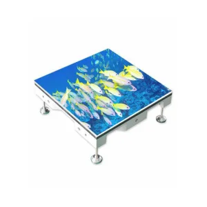 LED Screen Interactive Dance Floor Display Support Kid Games