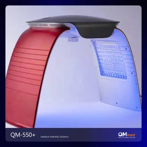 Facial Steamer