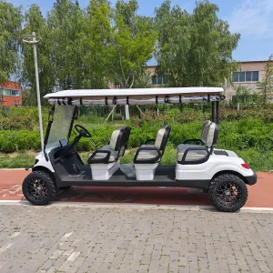 6-Passenger Luxury Electric LSV Golf Cart