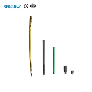 Geasure Titanium Alloy Femoral Nail High-Strength Class III CE Certified Orthopedic Implant Hospital Use 1 Year Warranty