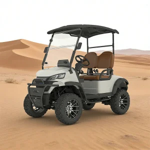Veículo Elétrico Utilitário de Baixo Preço para Resorts, Carrinho de Golfe com Construção Robusta e Durável