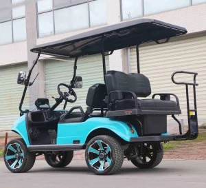 4 Seater Professional Electric Buggy Manufacturer Golf Cart
