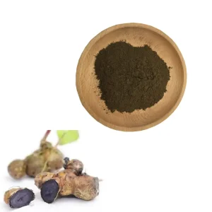 Premium Natural Black Ginger Extract Powder