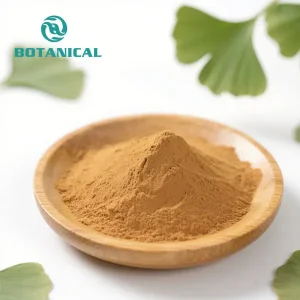 OEM Ginkgo Biloba Extract Powder