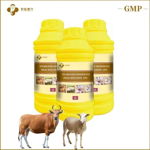 Hot Sale Antibiotic Medicine Tilmicosin Phosphate Oral Solution 10% 20% 25% Veterinary Medicine Drug for Cattle Sheep Chicken Poultry