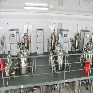 Pilot Stainless Steel Fermenter System for Biofuel Pilot