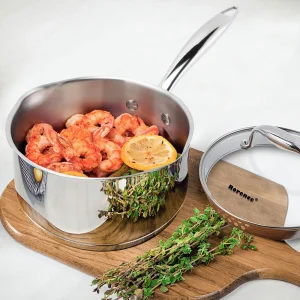 Stainless Steel Saucepan