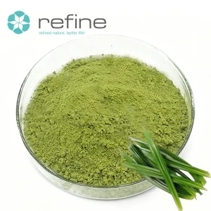 Top Green Grade Pure Pandan Leaf Extract Food Additives Pandan Powder for Instant Beverages Solid Beverages and Baking Premixes