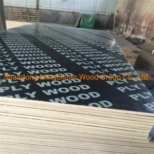 Hardwood Poplar Core Plywood