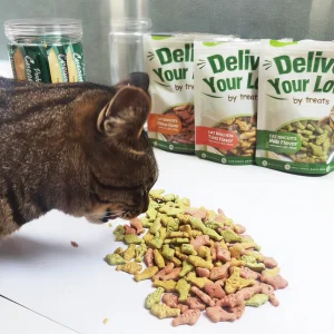 Premium 100g Crunchy Texture Catnip Added Fish Shaped Snack Ideal for Wholesalers Cat Treats Snacks