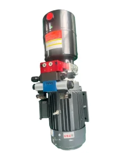 Factory Price Customize 12V 24V 48V Mini AC Hydraulic System for Car Lift