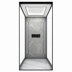 Custom Glass Carriage Home Villa Elevator with Panoramic View Quiet Operation Protection Features