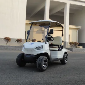 Promotion Golf Cart