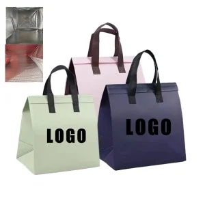 Bolsa térmica desechable personalizada