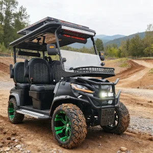 Street Legal LSV Golf Cart with Windshield, Seat Belts and LED Lights, for Gated Community