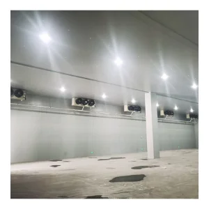 Customized Cold Room Storage Project