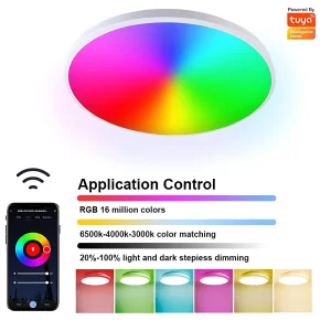 Smart RGB Downlight