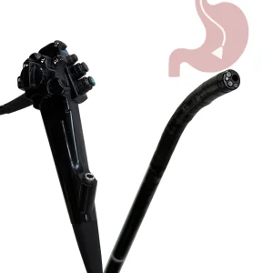 Gastroenterology Endoscope