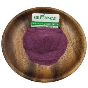 Extrato de Planta Antocianina Orgânica 5% Antioxidante CAS 84603-58-7 Extrato de Sabugueiro