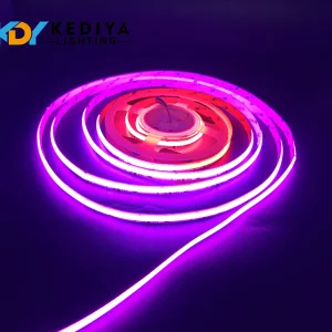 24V Dimmable LED Strip