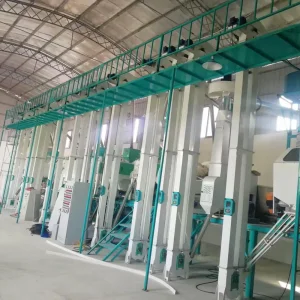 Planta Completa de Molienda