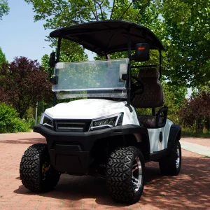 Best Quality 2 Seater Electric Golf Carts Mini Buggy 4 Wheel Price